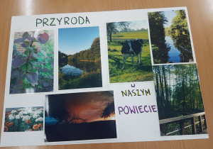 Kolaż na którym naklejone sa zdjęcia i widokówki i przyrodą okolic Tomaszowa