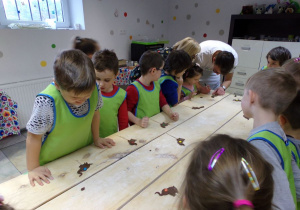 Dzieci dekorują pierniczki. Fot. D.Łakoma