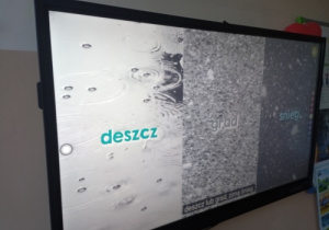Dzieci podczas zajęcia ekologicznego