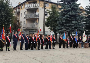 Reprezentacje pocztów ztandarowych większości tomaszowskich szkół podczas uroczystości składania kwiatów.